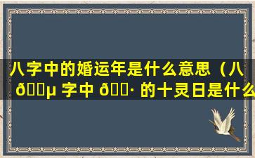 八字中的婚运年是什么意思（八 🌵 字中 🌷 的十灵日是什么意思）